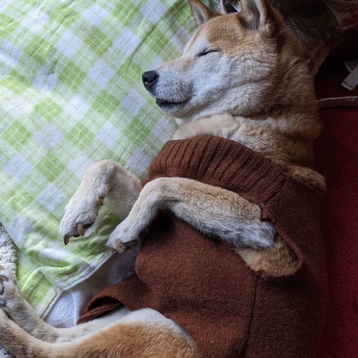 D9949934 9a79 4e36 af06 52d481b034e2 1769244221103