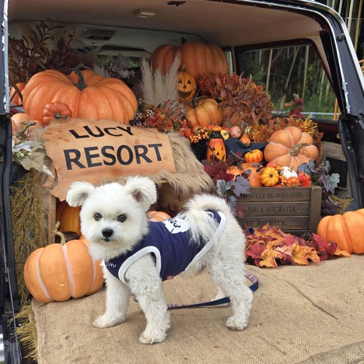 D994d728 fa70 4bc0 8df6 1f438b15ae92 1761916675044