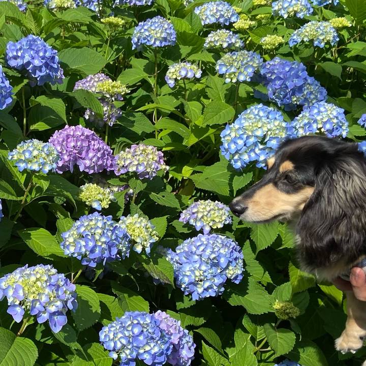 D994ea96 46bf 421b 8534 fcd921a36212 1685246386766