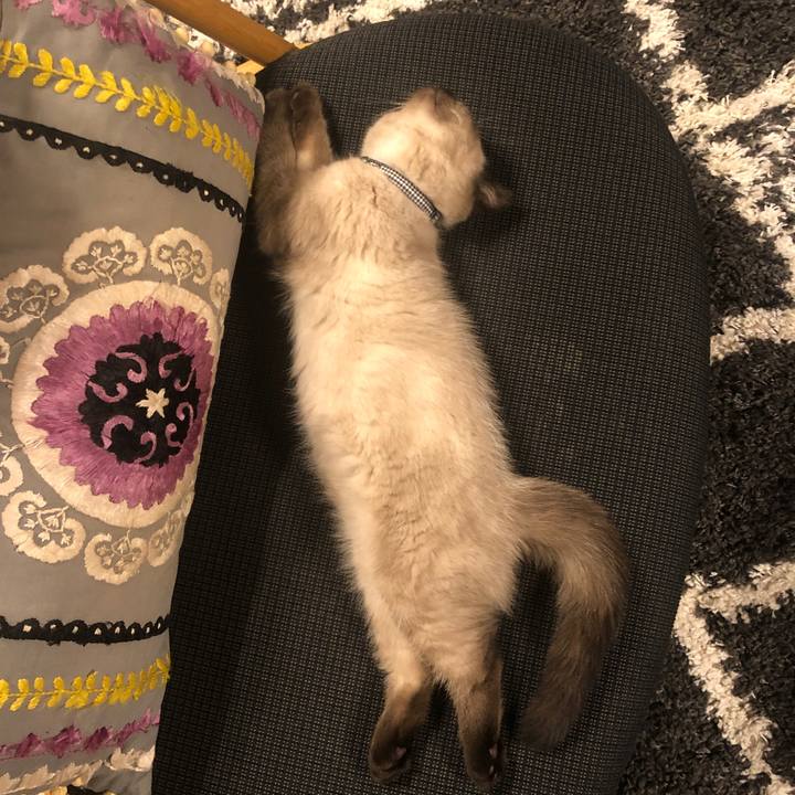 D994edea afb8 4027 808c c85387d2217a 1588949661658