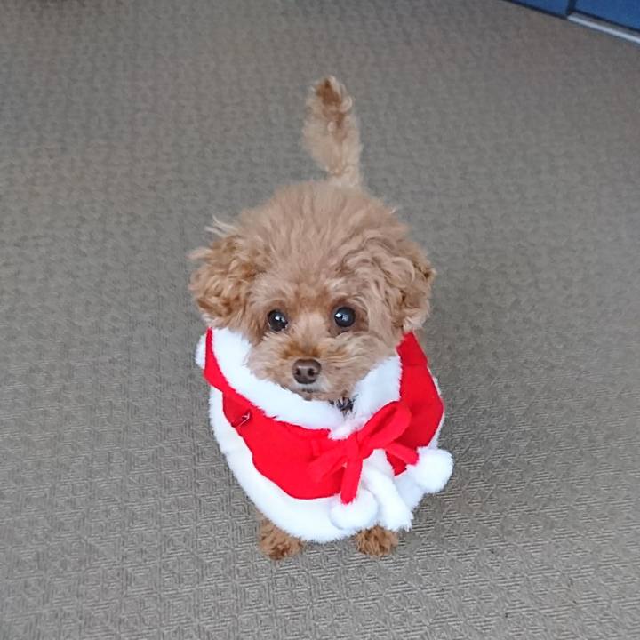 D99525ae 6b94 4bf3 8d34 29ebc9a6c758 1514123505510