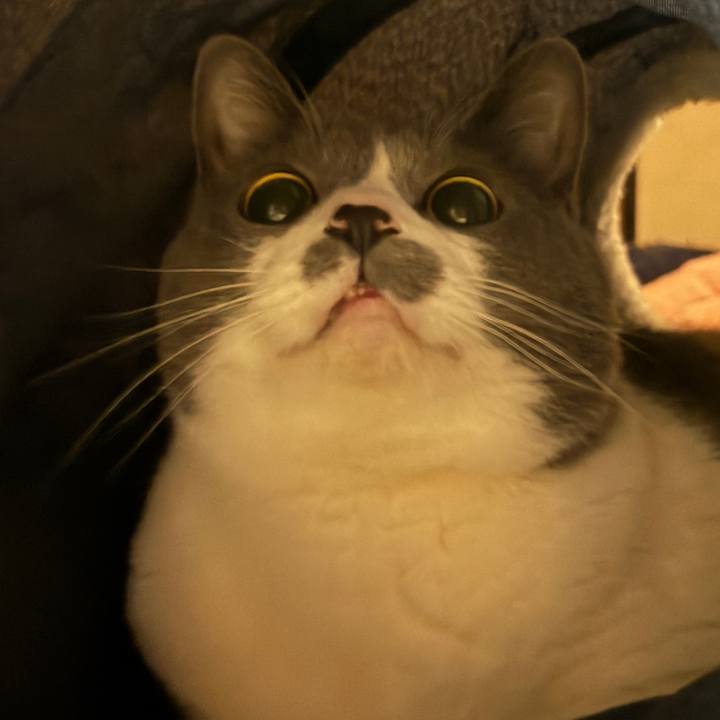 D99538a9 a451 426e b7bd 0fe2528f90ee 1773652441866