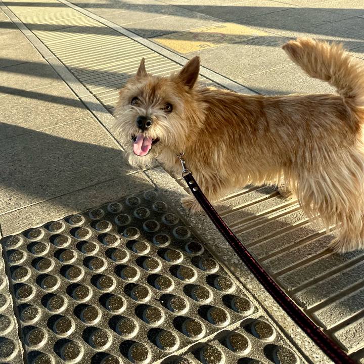 D99547a6 25f2 400d 9ac1 2d6a532554ee 1738875199928