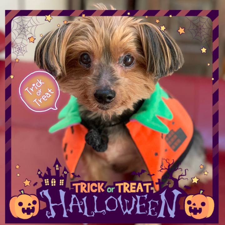 D995b00c 4c35 4e7a 8601 82beee63fa70 1604098719989