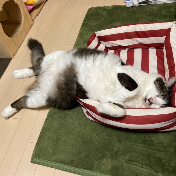 D995bd8a 3d70 4e88 85d5 c1d17a67ab12 1715985592017