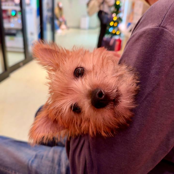 D99600b1 da99 4853 bc4d 8ee8cf7d2c0e 1702547725841