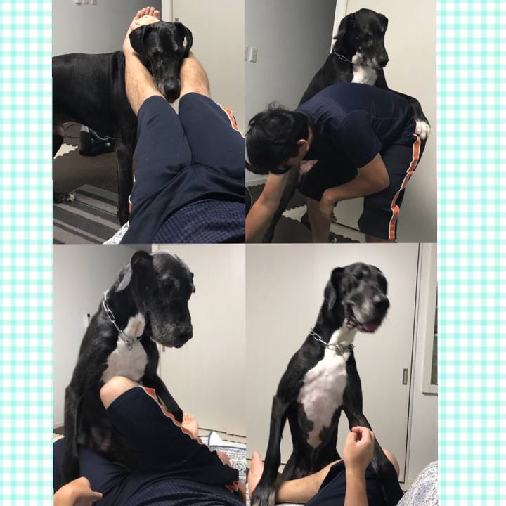 D99645f4 592e 489c ad4f 7b6f7415f583 1532731473071