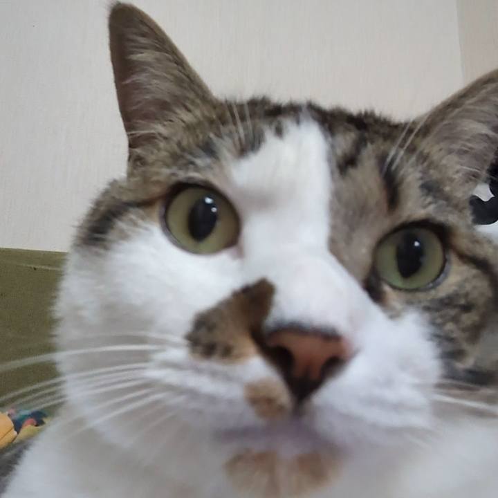 D9969f85 9767 445d b0b7 fc0eb1860f34 1686208060905