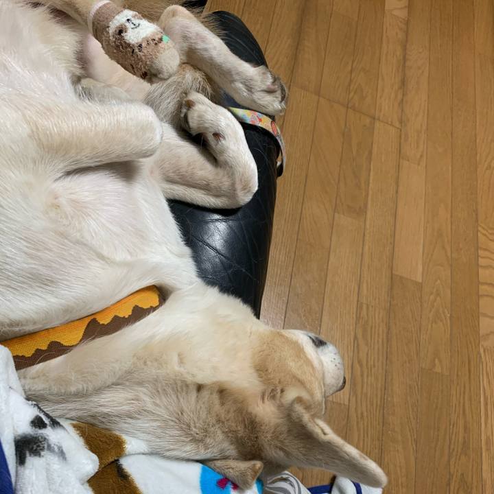 D996e5a2 836a 4bae 901b f1caf2c02d1b 1607612613446