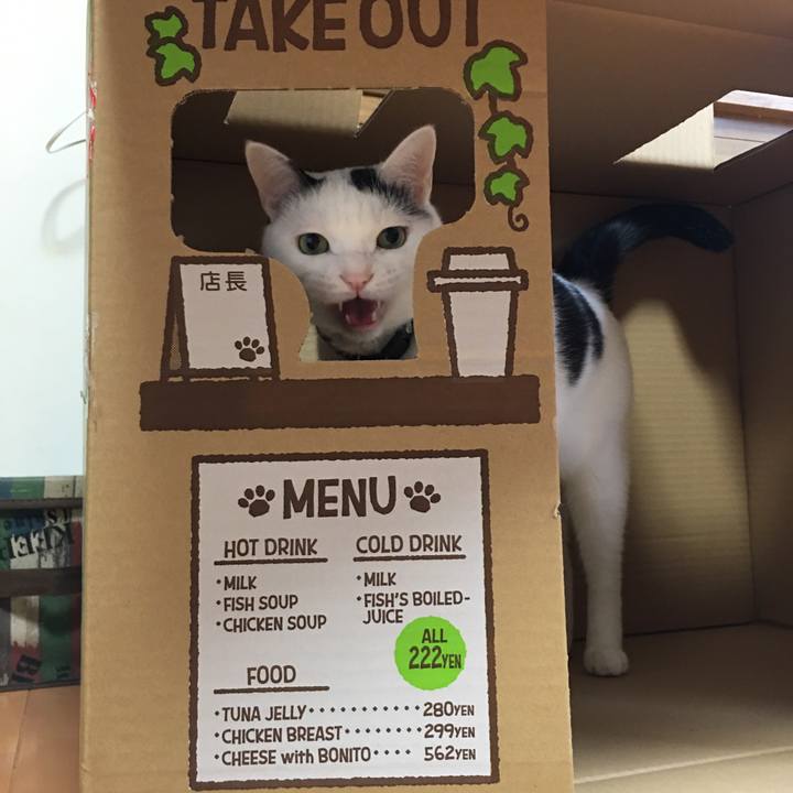 D996ff70 0f15 40c0 b82f f4eb8959e890 1570850992819