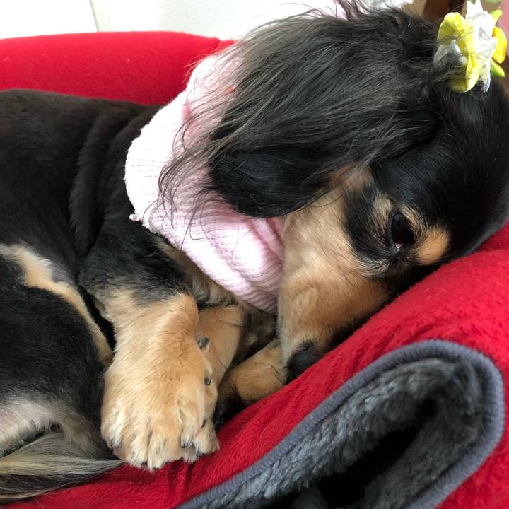 D9971f98 f464 4822 b163 ccdd5633616b 1551312914666