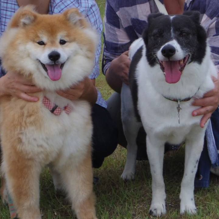 D9976a06 fde5 46a6 9f33 e67b654208a3 1528580782053