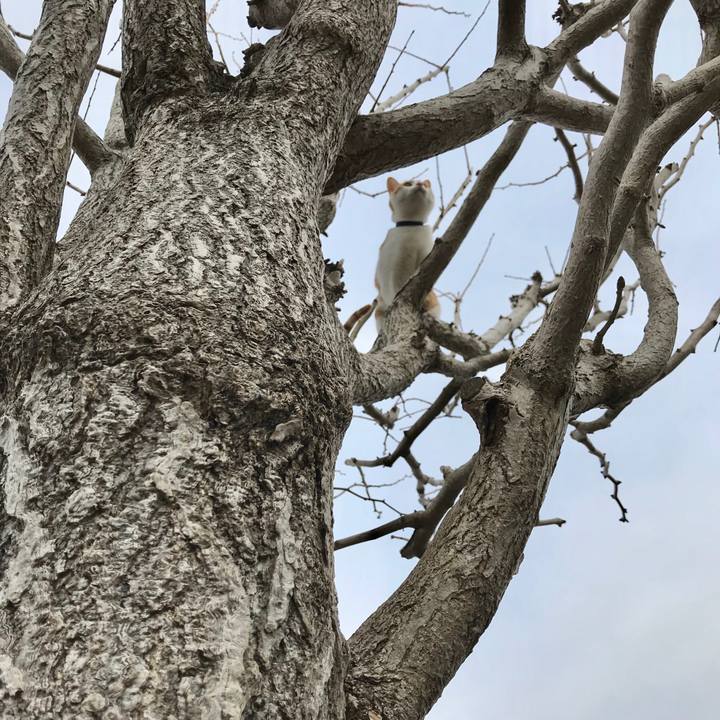 D9976aa6 dae9 4d81 8f5f 4aa3cf214196 1517734852508