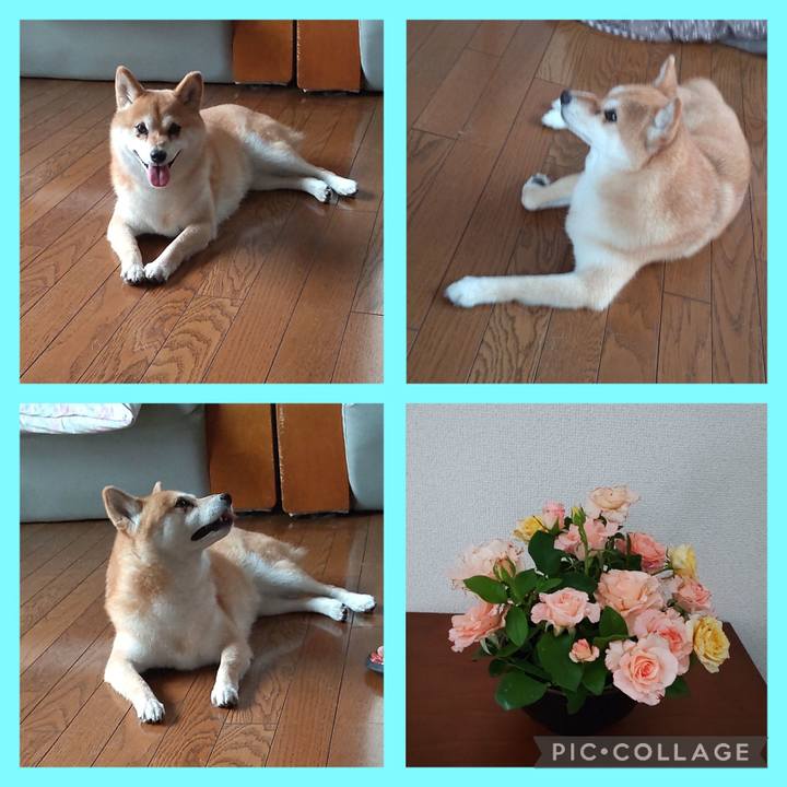 D99771ce 86b9 4e48 baf5 bd0d85555a3a 1751164393005