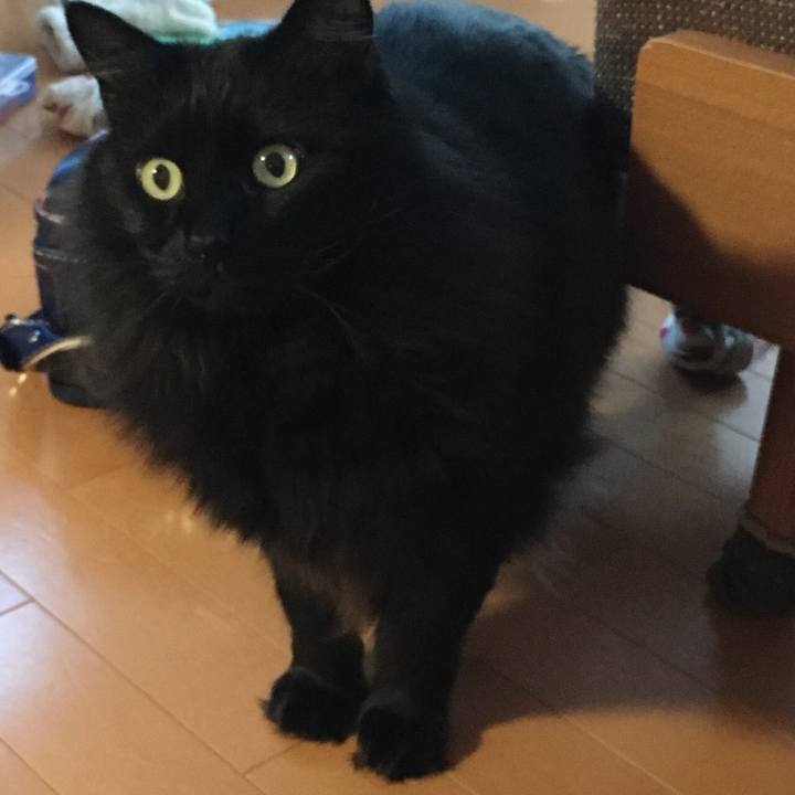 D9978113 076c 448d bf81 4355e240dd69 1549613943374