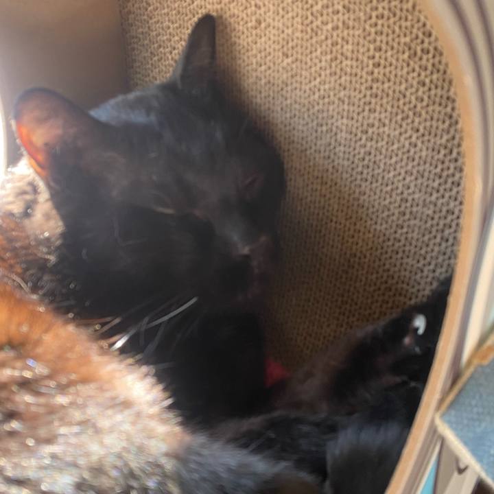 D997bef8 44df 455c 92ae e23f03cbf35e 1732432415897