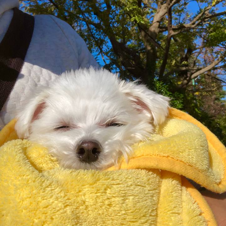 D997e470 2d6d 428f b27e 9f47a17a0606 1574993491359