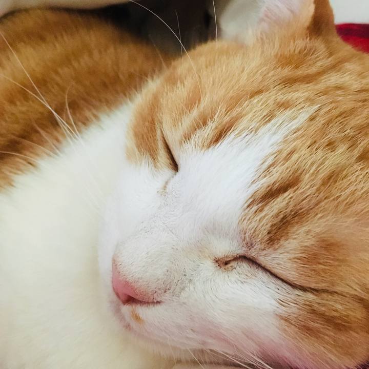 D997f60e 2baf 47ea bf02 a049903c2a2f 1553568830304