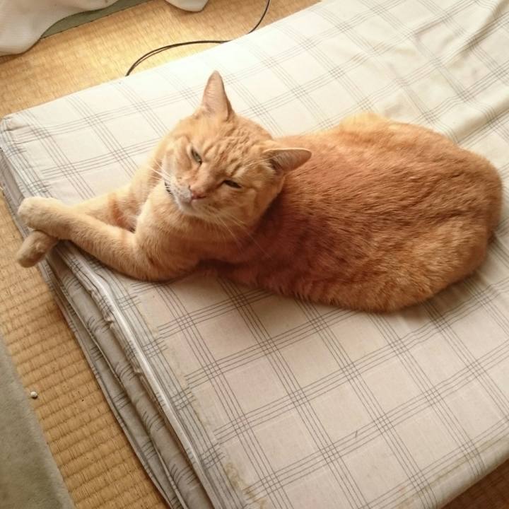 D9982abd 6b3b 4e01 9376 11f5552bd3ec 1530154467118