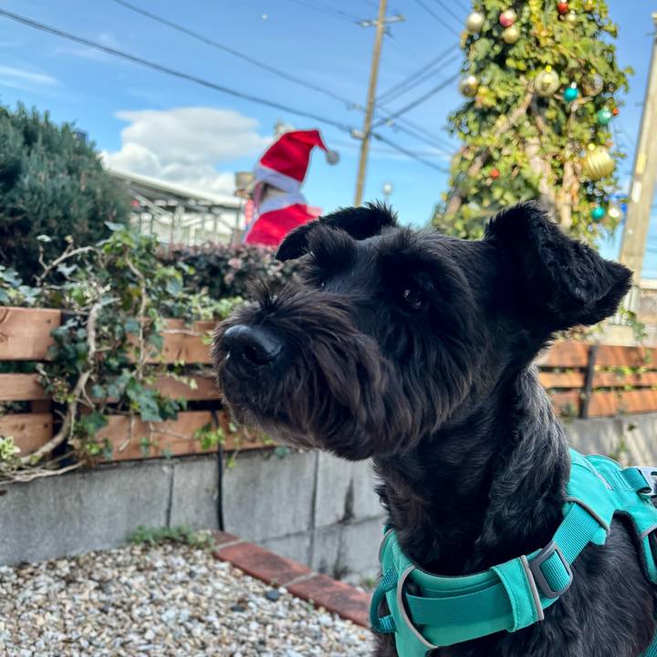 D9983621 41ff 4137 9975 5e3a0a283dd4 1765342555665