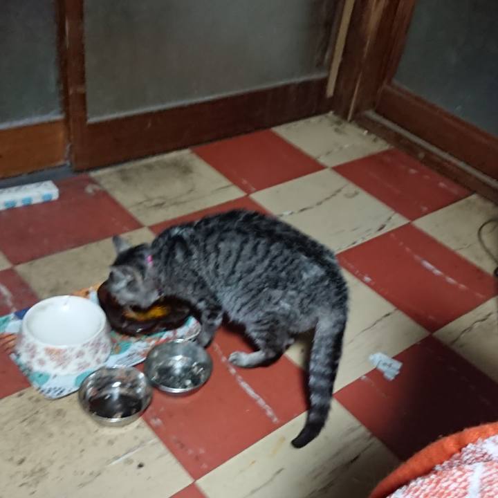 D9984518 0f90 4e46 80b8 304fc4a3cf15 1585342840092