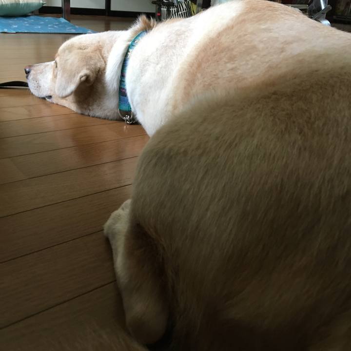 D9985f35 fda0 44a8 86db 0d6c0fa34ecd 1531018461884