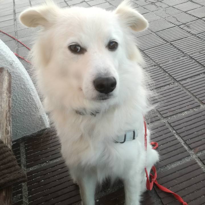 D9986de0 dd6d 416e ab52 3dbced96710a 1515036191115