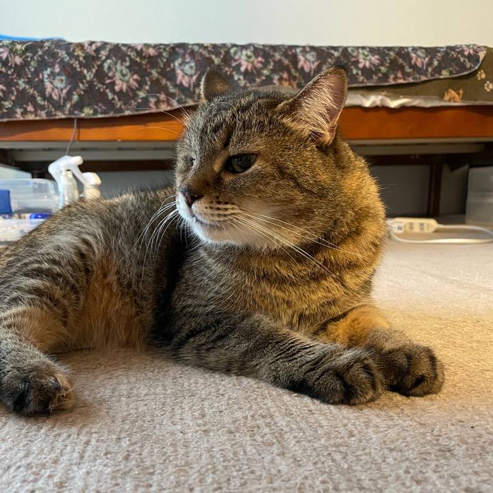 D9987372 3a2d 4c93 b25b 9a3f791a78de 1724148031244