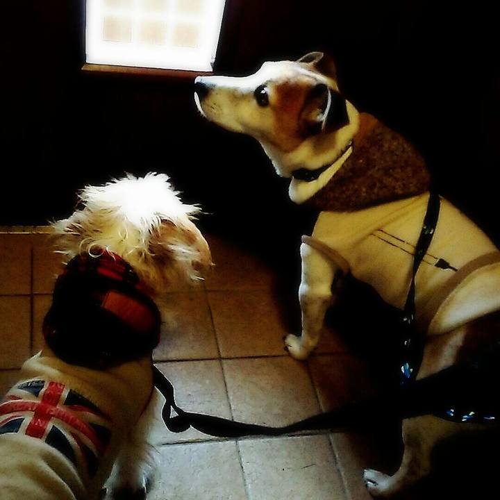 D99887c4 4a39 4e4e b283 59651020afc5 1512823488001