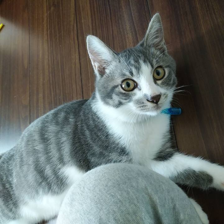 D998b8a7 6027 487f b3a7 52ee1a80261d 1566774567150