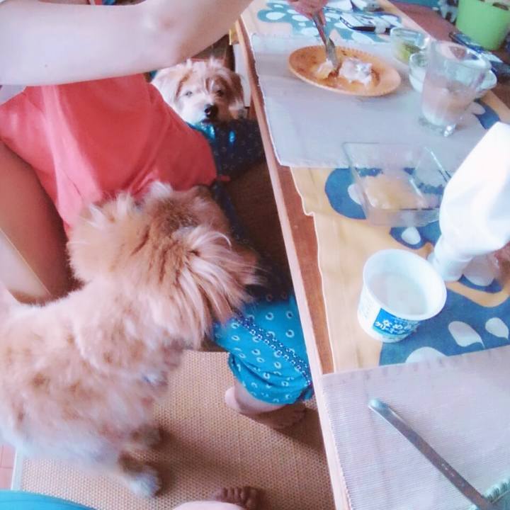 D998ba5b 5fec 459e 9073 141605fecff4 1531024470896