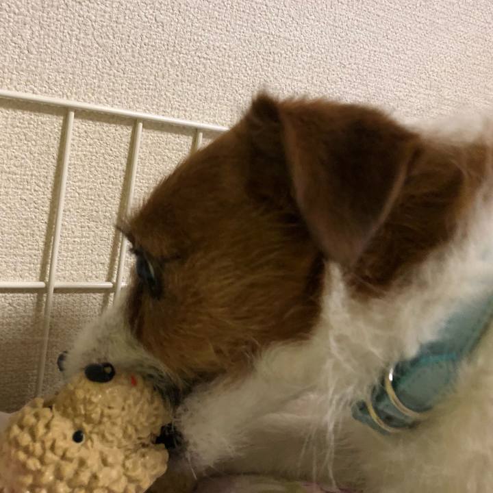 D998e59a f9e1 46bc ad97 b6b171c8c746 1521120374776