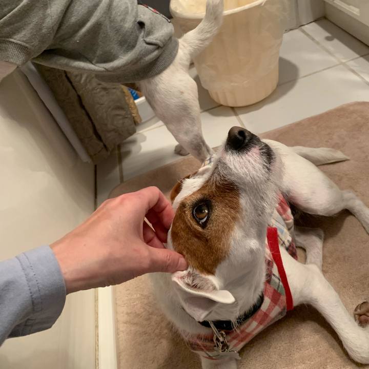 D998e6f7 a7d8 4c74 af15 fcaf4e48ced8 1549424693448