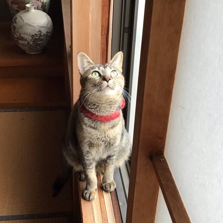 D999244a e28f 4828 a758 12e35bb51928 1600218234142