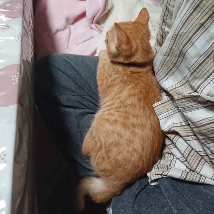 D99935f2 08bf 4d19 8da0 89ebbb1b4d49 1634119563128