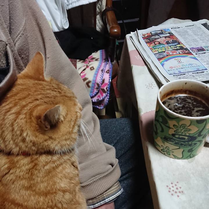 D999440a 7e9a 4dc9 8926 9f1623cd8ac2 1577997928765