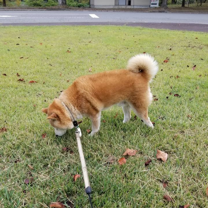 D9995796 300c 472e 9e0e 6a9249b75d88 1695450128483