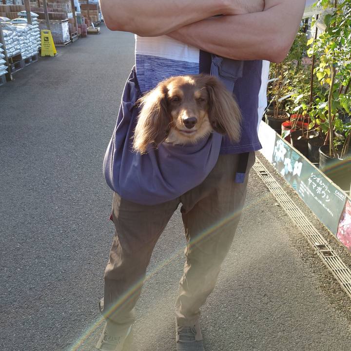 D9995ac5 1141 492f 97a3 221a0fd37c7d 1665392359151