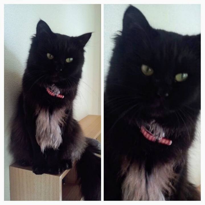 D9998485 c578 4377 b6a5 6b019ac29150 1626351612621