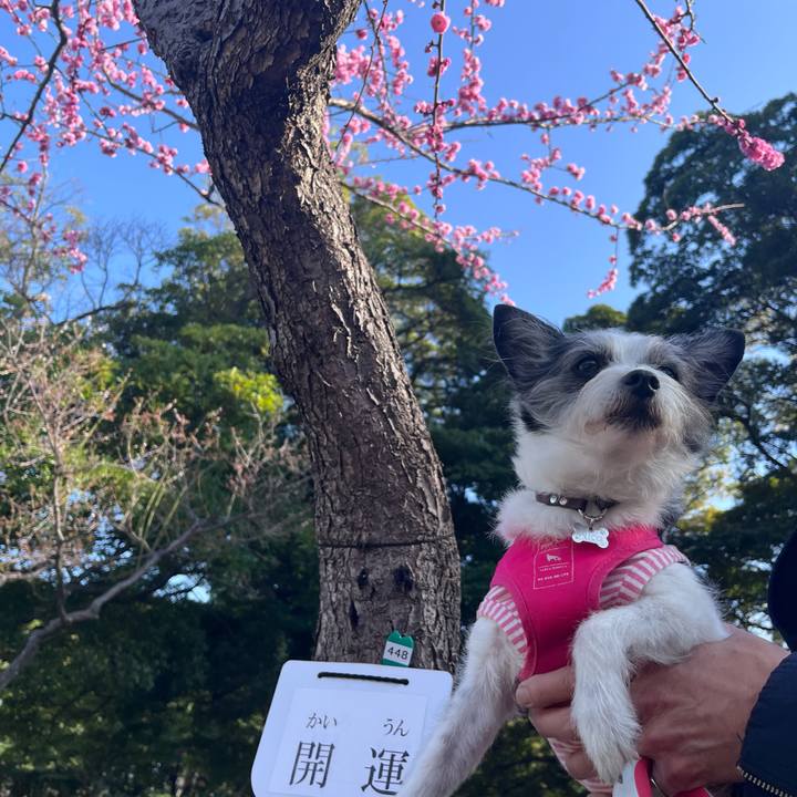 D999a88a b0ad 4bbd 9903 696e020893e5 1772346912028