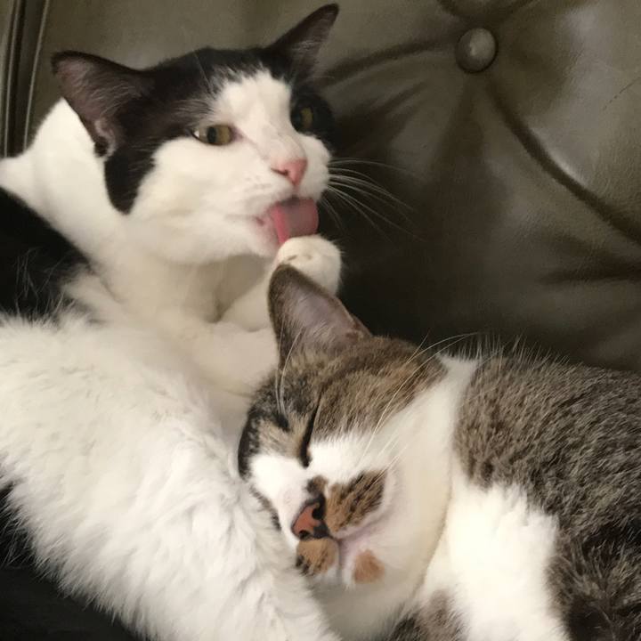 D999da16 2ce0 435f a748 75aeb4eff8a3 1568804919152