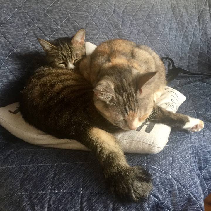 D999f820 6d14 4fc9 81a5 3c53ff49d464 1572156140406