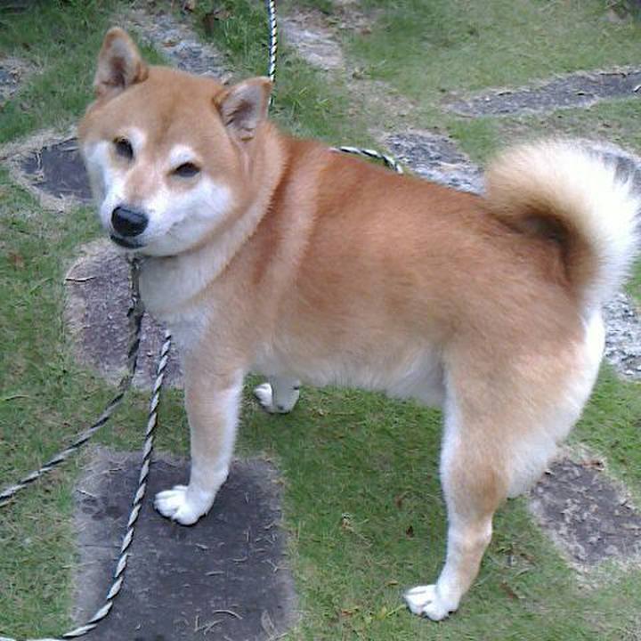 D99a1150 cb55 4f80 99c1 a5d8cadd23c5 1571991925987