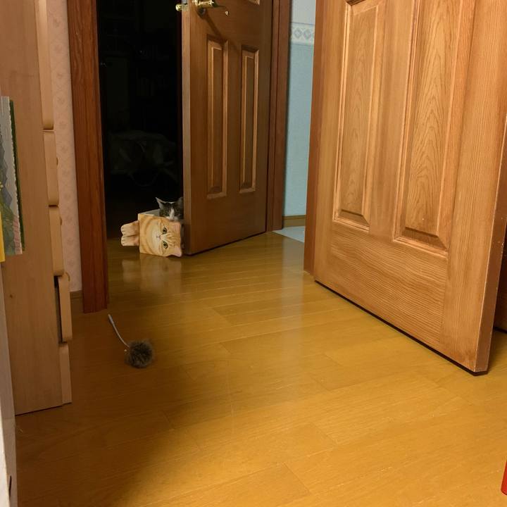 D99a65f3 afd5 477a 96b9 c8bf7d024205 1582318498248