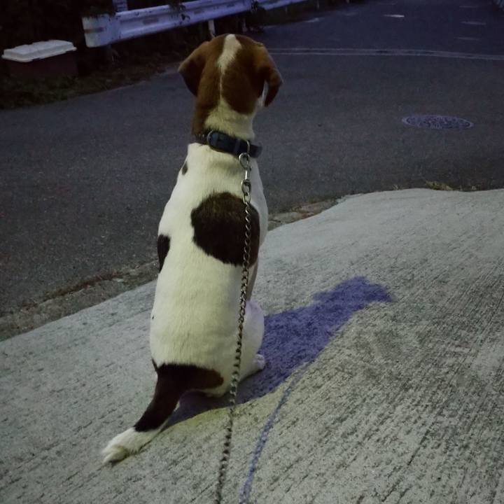 D99aef1e 1661 43c5 84e2 8589d265db46 1603271250538