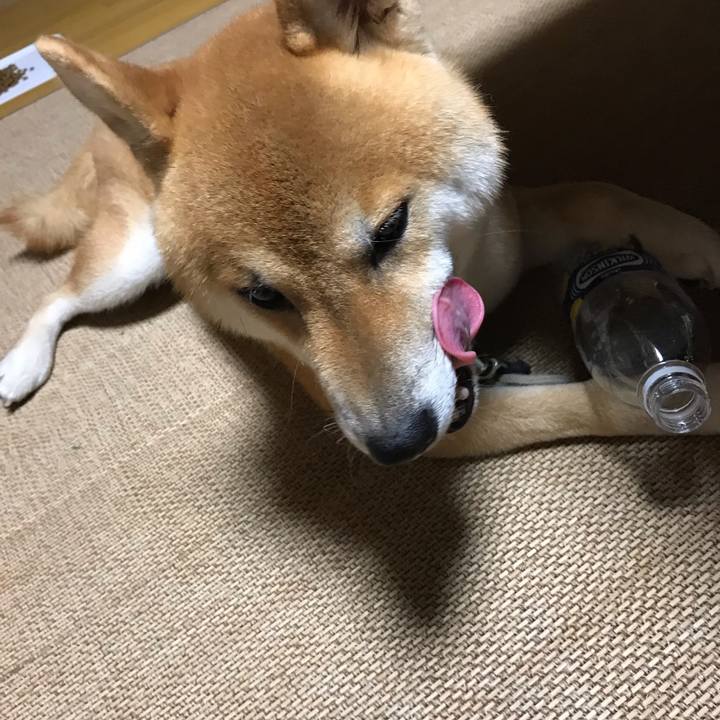 D99af1ba f2e2 49f9 bb5a 163f21e0b68a 1566988644076