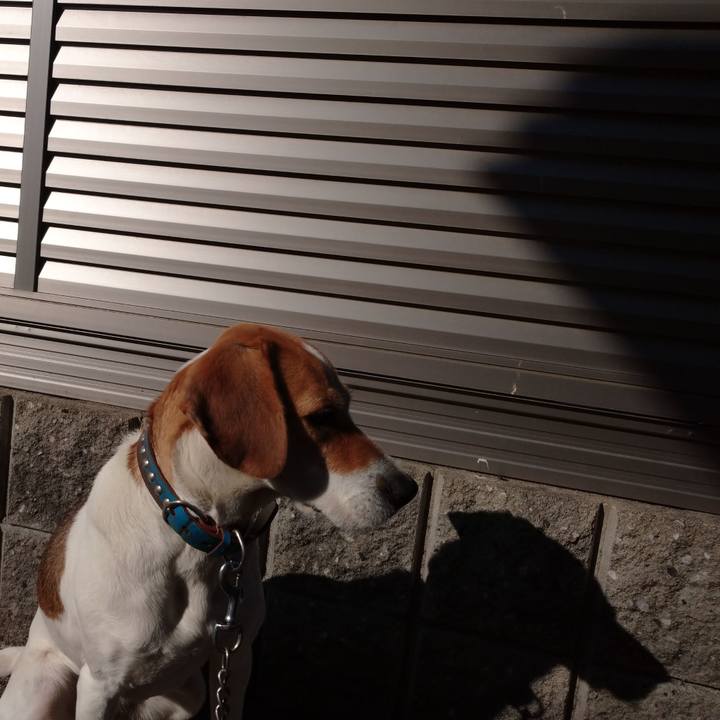 D99b0d1d d649 4d45 a58b cfa9ff630fbb 1611135998621