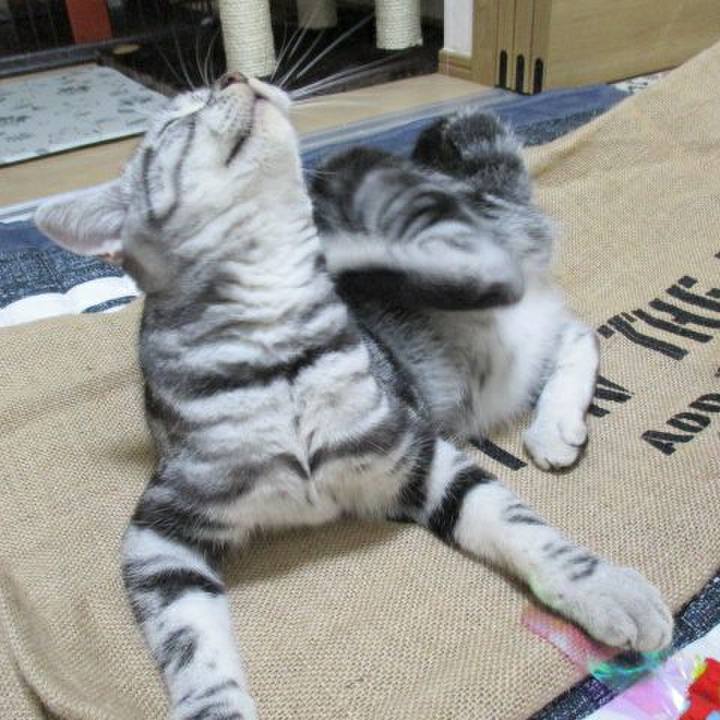 D99b25e6 66db 4fca b8ed 52e5fdb63041 1539347707582