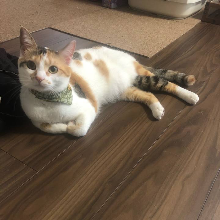 D99b78fc 0b57 4132 a25c 9d37c10521b6 1595288266754