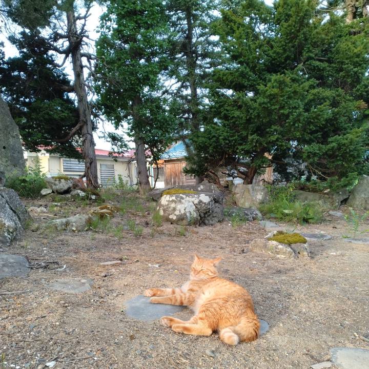 D99b9f6e 2b0c 4d08 99d5 52a7686e7a7e 1693184772552